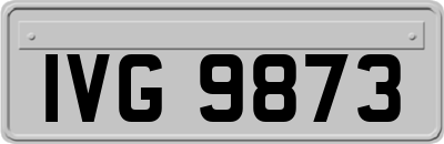 IVG9873