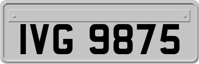 IVG9875