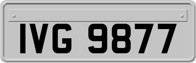 IVG9877