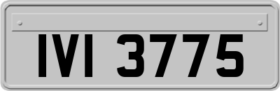 IVI3775