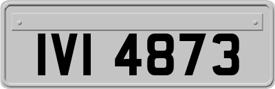 IVI4873