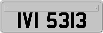 IVI5313