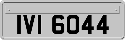 IVI6044