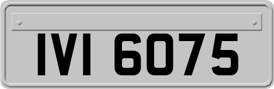 IVI6075
