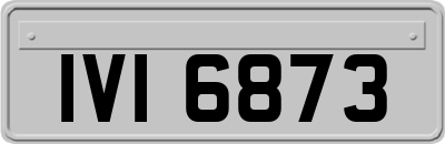 IVI6873