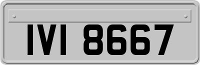 IVI8667