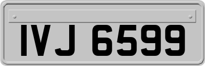IVJ6599