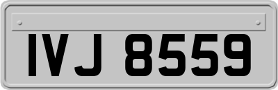 IVJ8559