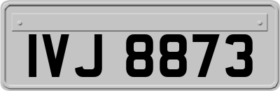 IVJ8873