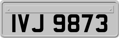 IVJ9873