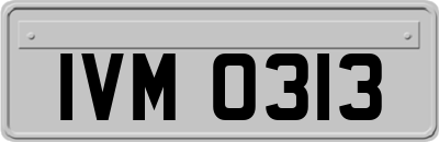 IVM0313