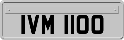 IVM1100