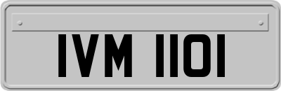 IVM1101