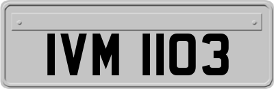 IVM1103