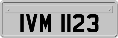 IVM1123