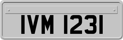IVM1231