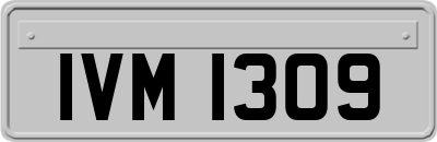IVM1309