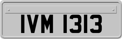 IVM1313