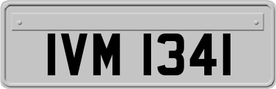 IVM1341