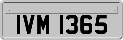 IVM1365