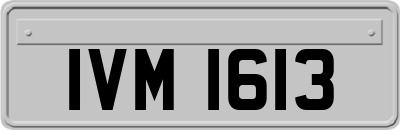 IVM1613