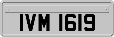IVM1619