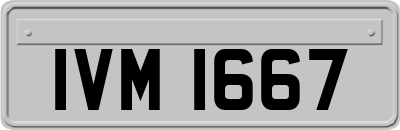 IVM1667