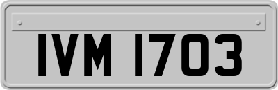 IVM1703