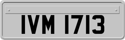 IVM1713