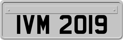 IVM2019