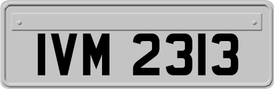 IVM2313