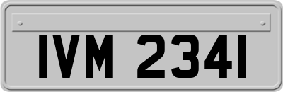 IVM2341