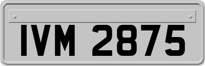 IVM2875