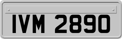 IVM2890