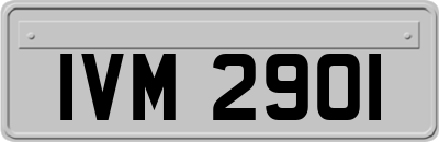 IVM2901