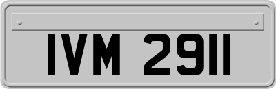 IVM2911
