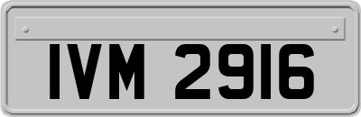 IVM2916