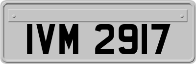 IVM2917