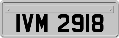 IVM2918