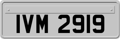 IVM2919