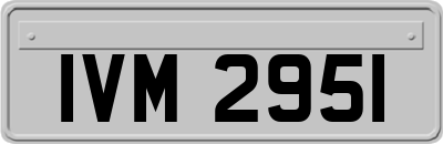 IVM2951