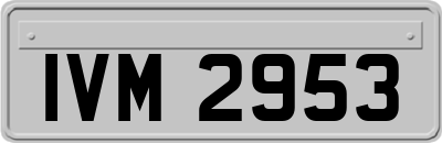 IVM2953