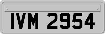 IVM2954
