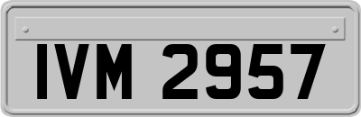 IVM2957