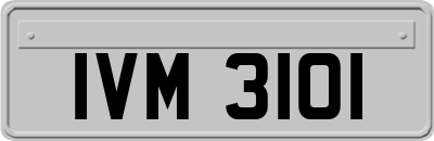 IVM3101