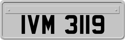 IVM3119
