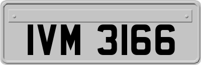 IVM3166