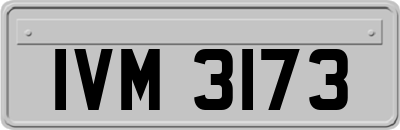 IVM3173
