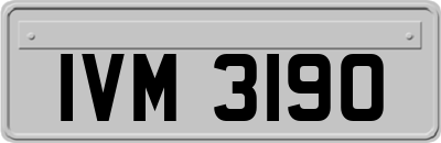 IVM3190