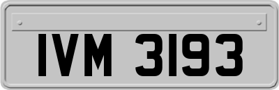 IVM3193